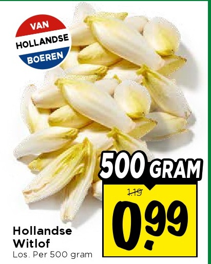 Hollandse Witlof