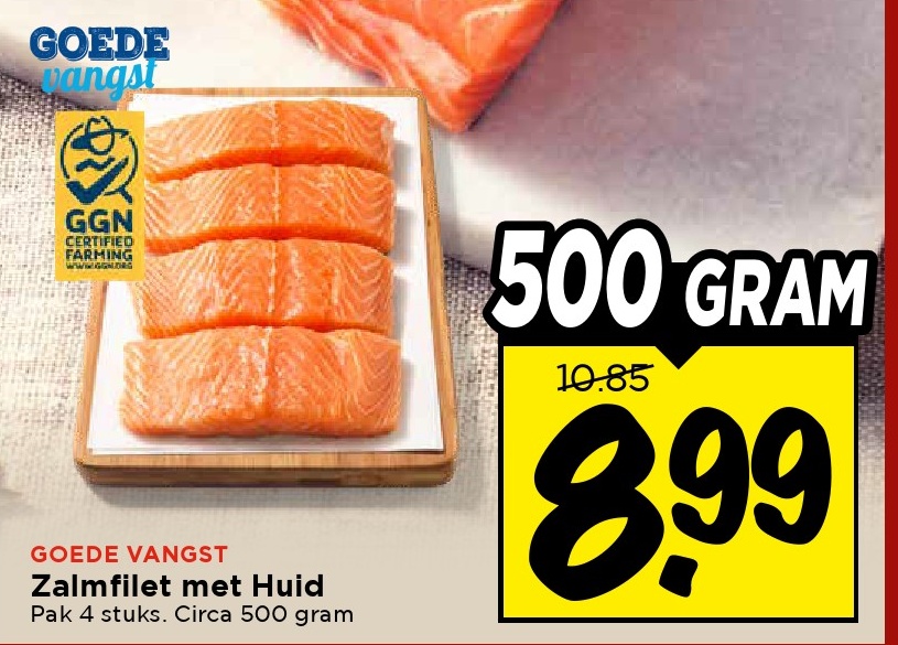 Zalmfilet met Huid