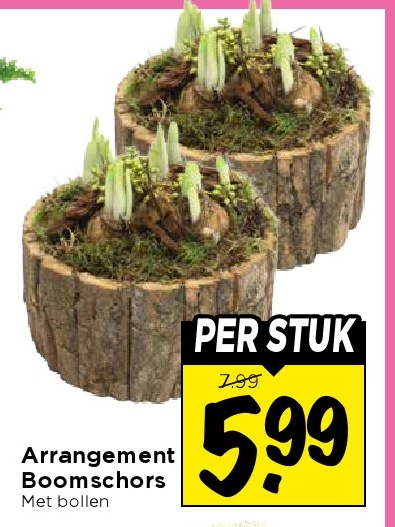 Arrangement Boomschors