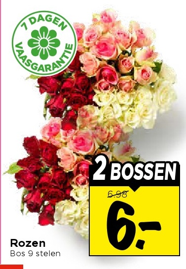 Rozen