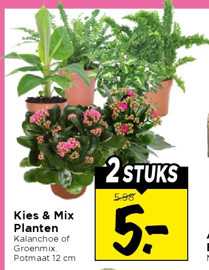 Kies & Mix Planten