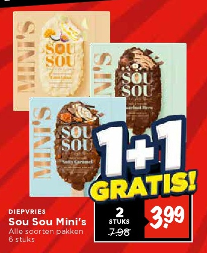 Sou Sou Mini's
