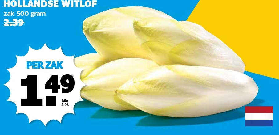 Hollandse Witlof