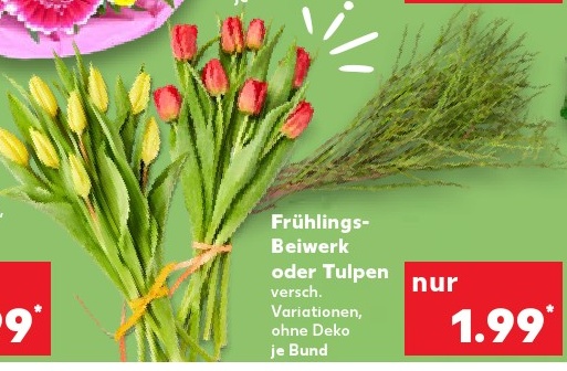 Frühlings-Beiwe rk oder Tulpen