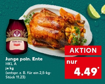 Junge poln. Ente