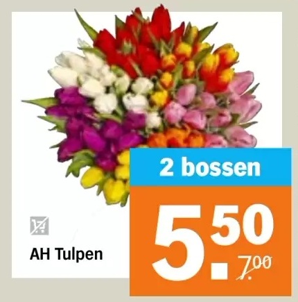 AH Tulpen