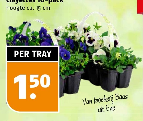 Clayettes 10-pack