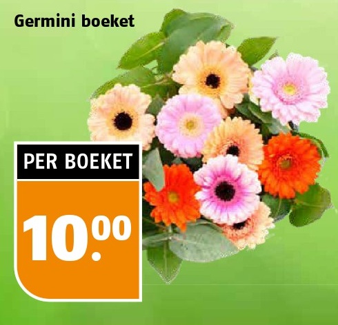 Germini boeket