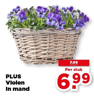PLUS Vioelen In mand