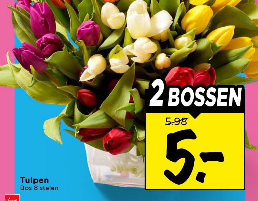 Tulpen
