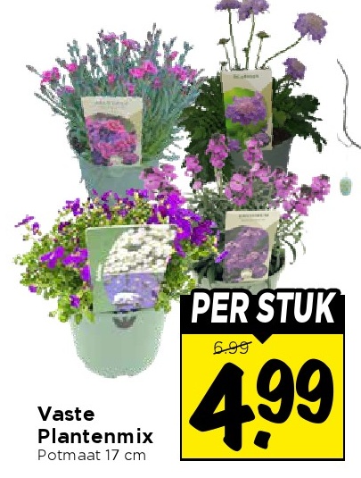 Vaste Plantenmix