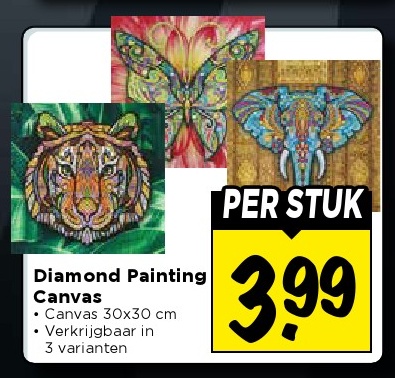 Diamond Painting Canvas