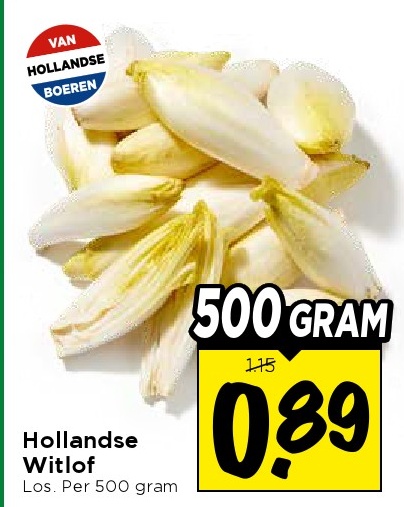 Hollandse Witlof