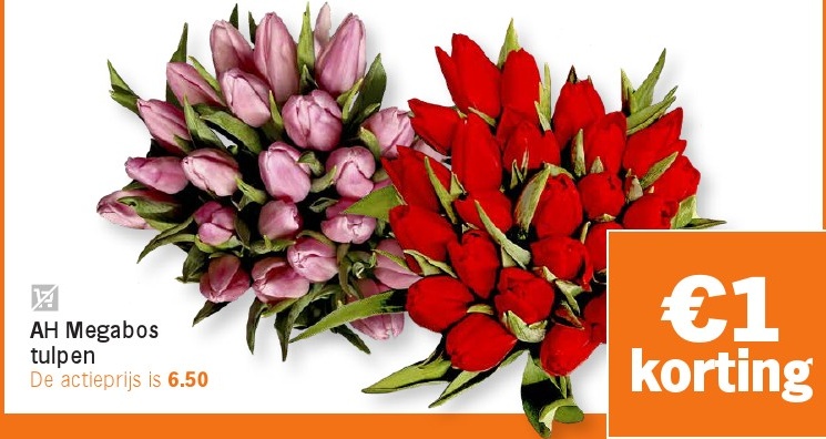 AH Megzbos tulpen