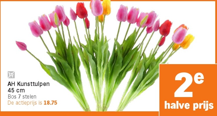 AH Kunst tulpen