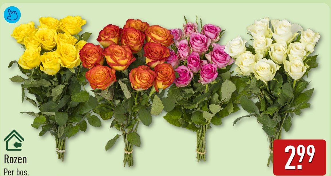 Rozen