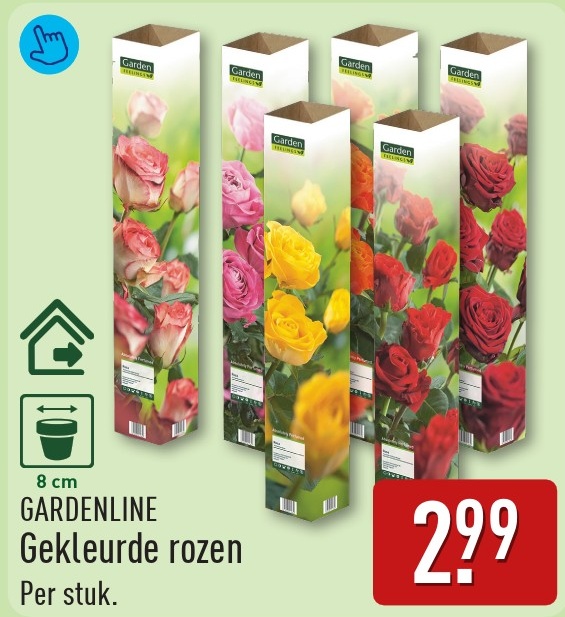 GARDENLINE Gekleurde rozen
