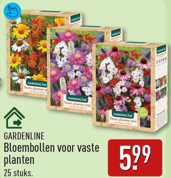 Bloembollen voor vaste planten