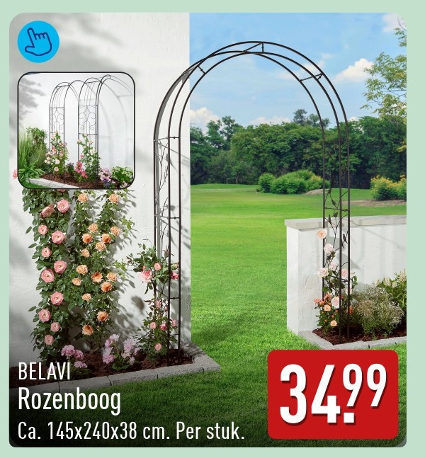 Rozenboog