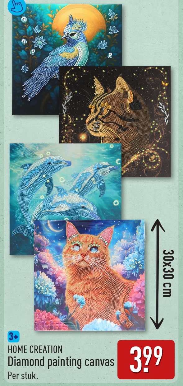Diamond painting canvas