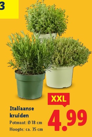 Italiaanse kruiden