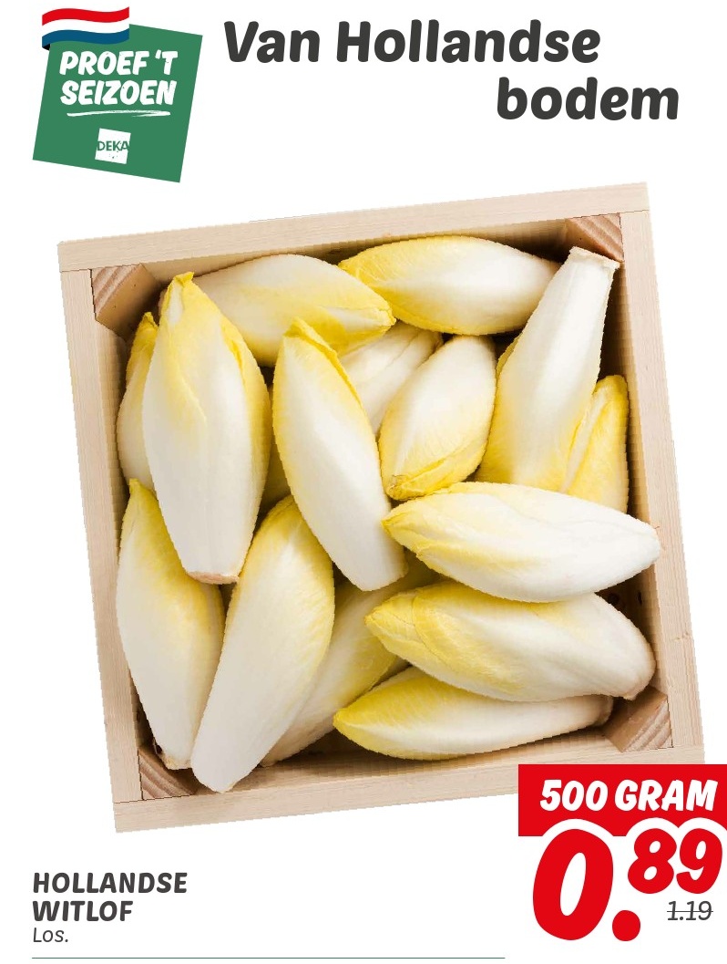 HOLLANDSE WITLOF