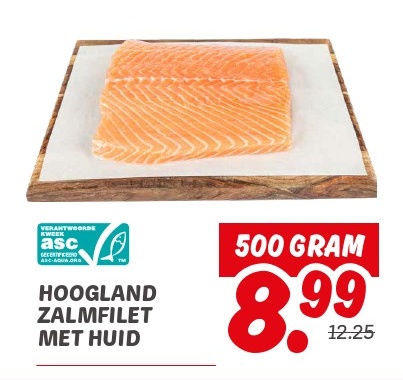 HOOGLAND ZALMFILET MET HUID
