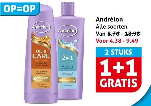 Andrélon Oil & Care 2 in 1