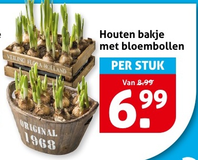 Houten bakje met bloembollen