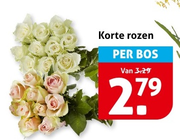 Korte rozen