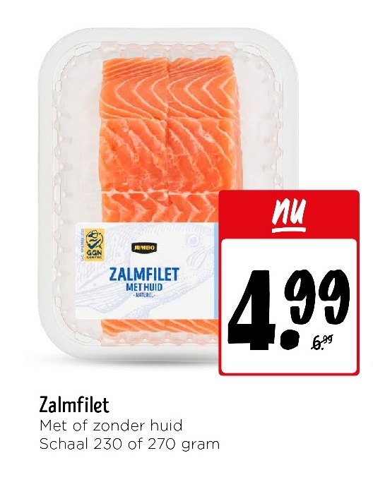 Zalmfilet