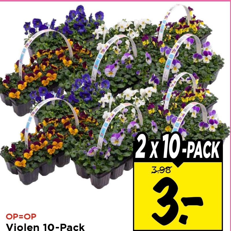 Violen 10-Pack