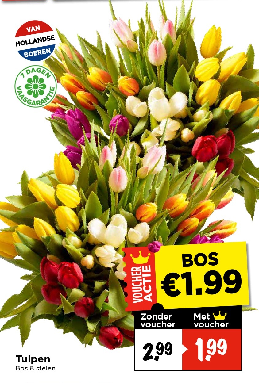 Tulpen