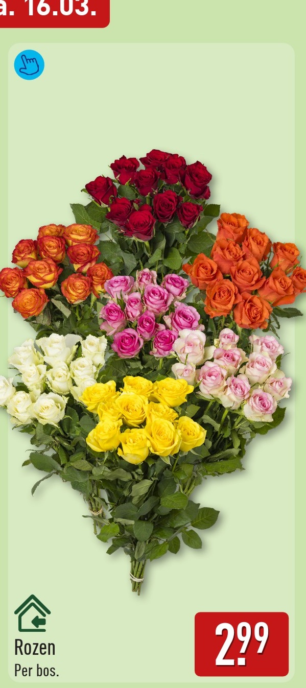 Roses