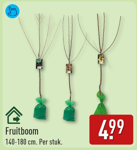 Fruitboom