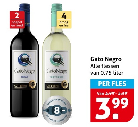 Gato Negro