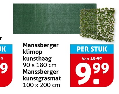 Manssberger klimop kunsthaag